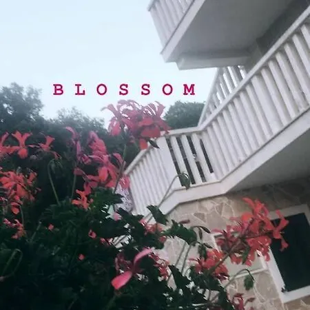 Blossom / Ground Floor Duba Peljeska
